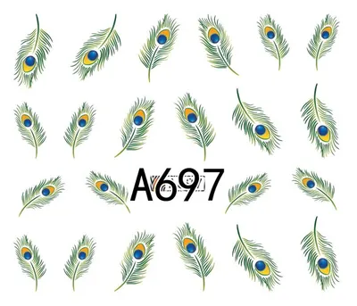 Tatuaj - A697