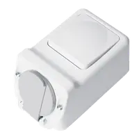 Socket+one Button Two Way Switch 16а 250v, Ip44