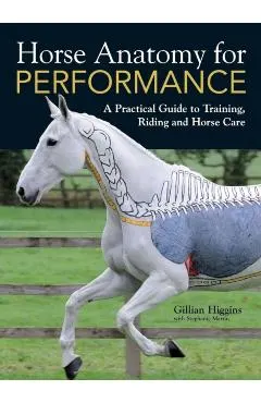 Horse Anatomy for Performance