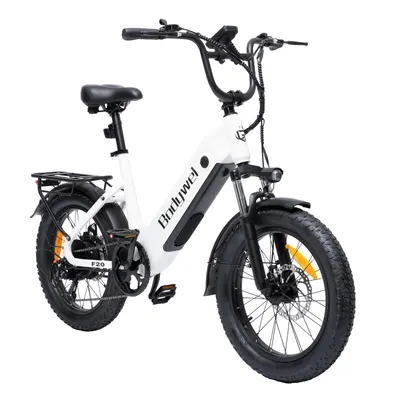 F20 bicicletă electrică pentru adulți, baterie 48V 15Ah și roți de 20x3.0 inci.