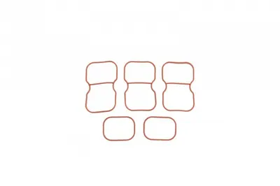 Set garnituri galerie admisie MERCEDES C (CL203), C T-MODEL (S203), C (W203), CLK (A209), CLK (C209) 1.8 intre 2003-2010