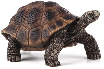 Figurina Mojo Woodland - Broasca testoasa gigant