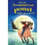 Aventuri cu ponei. Fulger este in pericolt- Usch Luhn