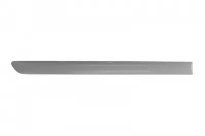 Bandou pentru usa spate dreapta grunduita VW GOLF 5 usi intre 2003-2010