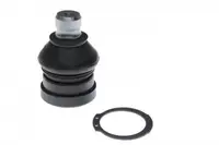 Pivot axa Dreapta Stanga (inferior fata) (diametru con 20mm) potrivit CITROEN C4 AIRCROSS, C-CROSSER, C-CROSSER ENTERPRISE; DODGE CALIBER; JEEP COMPASS, PATRIOT; MITSUBISHI ASX 1.5-3.0 01.02-