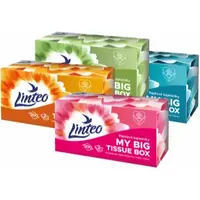 Linteo Paper Tissues Two-ply Paper, 200 pcs per box batiste de hârtie