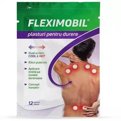 Plasturi cu hidrogel pentru durere, 12 plasturi, Fiterman
