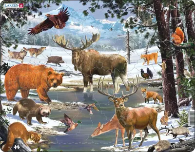 Puzzle 54 piese - Maxi - Northern Forest