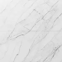 Gresie portelanata exterior / interior Carrara 60 x 120 cm lucioasa rectificata tip marmura