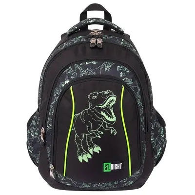 Ghiozdan cu 4 compartimente, St Majewski, St. Right Reflective T-Rex, 43 cm