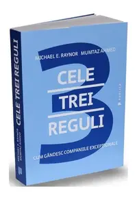 Cele trei reguli - Paperback brosat - Michael E. Raynor, Mumtaz Ahmed