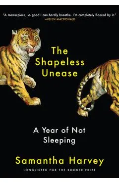 The Shapeless Unease: A Year of Not Sleeping