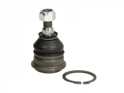 Pivot axa Dreapta Stanga (inferior fata) (diametru con 15mm) potrivit VOLVO S40 I, V40; HYUNDAI I20 ACTIVE, I20 I, I20 II; MITSUBISHI CARISMA, COLT III, COLT IV, CORDIA 1.1D-2.0D 09.82