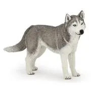 Papo Figurina Husky Siberian