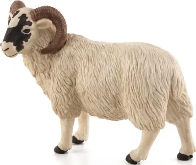 Figurina Mojo Animal Planet - Berbec cu botul negru