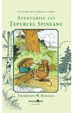 Aventurile lui Tepurcel Spineanu. Seria Povestiri din Padurea Verde Vol.13