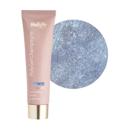 Polygel NAILSUP Champagne 19 60ml