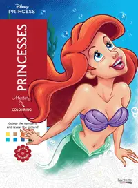 Carte de colorat după numere Hachette Heroes: Mystery Colouring - Princesses