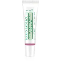 Mario Badescu Acai and Vanilla Lip Balm Balsam de buze hidratant 10 g