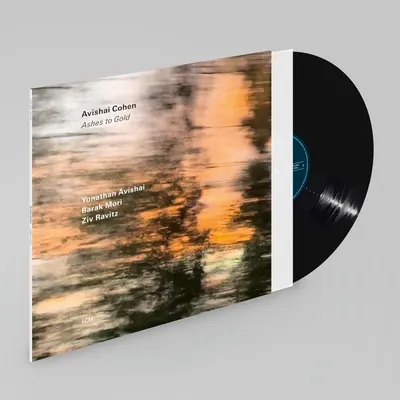 Ashes to Gold - Vinyl
