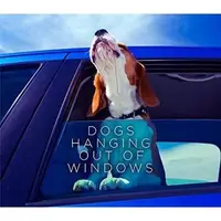 Dogs Hanging Out Of Windows