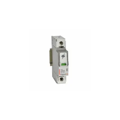 Descarcator SPD - T2 - Imax 40 kA/pole - 440 V~ (IT) - 1P