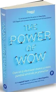 The Power of WOW. Cum să-ți electrizezi munca și viața punând serviciile pe primul loc