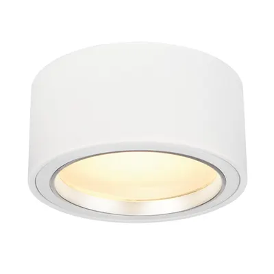 Corp iluminat TAVAN, FERA 25 de Luminita de Plafon, lumina Plafon alb, LED-uri, 3000K, rotund, alb, 1800 lm, max. 21W, including auto cu conducator cu LED-uri