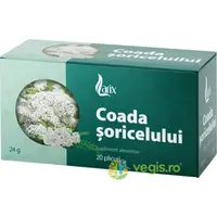 Coada Soricelului 20dz