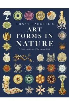 Ernst Haeckel's Art Forms in Nature: A Visual Masterpiece of the Natural World