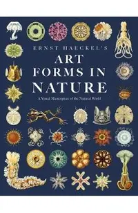 Ernst Haeckel's Art Forms in Nature: A Visual Masterpiece of the Natural World
