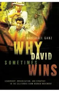 Why David Sometimes Wins: Leadership, Organization, and Strategy in the California Farm Worker Movement