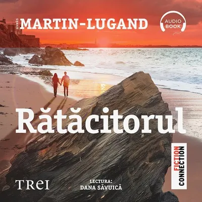 Rătăcitorul - Audiobook