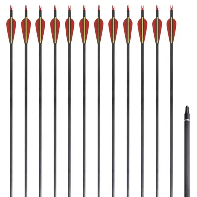 Săgeți standard arc recurv 30" 0,76 cm carbon 12 buc.