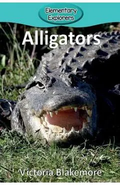 Alligators