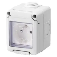Watertight Enclosure Complete With System Devices - With Socket-Outlet 2p+e 10/16 a - French Standard - Ip55 - Grey Ral 7035