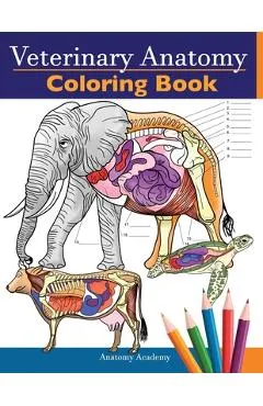 Veterinary Anatomy Coloring Book: Animals Physiology Self-Quiz Color Workbook for Studying and Relaxation Perfect gift For Vet Students and even Adult