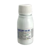Difcor 250EC 50 ml, fungicid sistemic, (Mar, Par, Telina, Gutui, Piersic, Cais, Prun, Morcov, Pastarnac, Nap, Sfecla de zahar, Sfecla, Sfecla furajera, Sparanghel, Broccoli, Varza, Tomate, Rapita, Trandafir, Plante ornamentale) - Default Title
