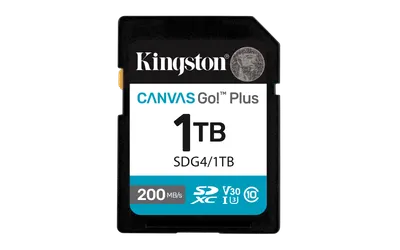 Card de Memorie SD Kingston Canvas GO Plus CL 10