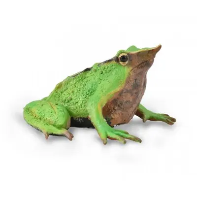 Figurina pictata manual Broasca Darwin
