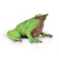 Figurina pictata manual Broasca Darwin
