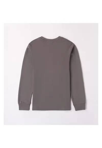 Bluza cu imprimeu pentru baiat - 0.7438 - Gri