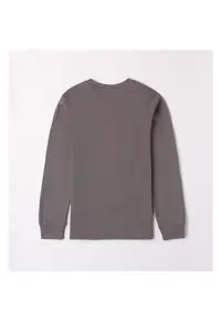 Bluza cu imprimeu pentru baiat - 0.7438 - Gri