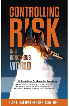 Controlling Risk: Thirty Techniques for Operating Excellence