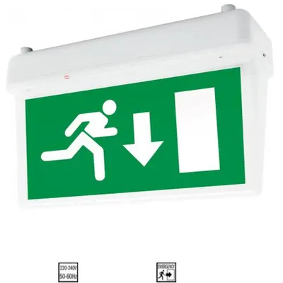 Lampa emergenta LED 2W ne permanenta autonomie 3 ore Tavan autocolant Jos