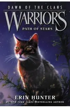 Path of Stars