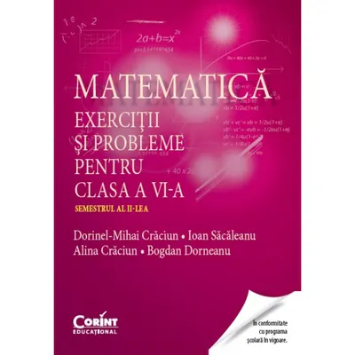 Matematica. Exercitii si probleme pentru clasa a VI-a. Semestrul al II-lea