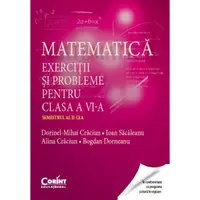 Matematica. Exercitii si probleme pentru clasa a VI-a. Semestrul al II-lea