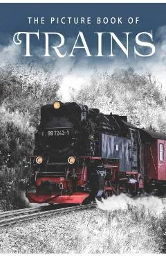 The Picture Book of Trains: A Gift Book for Alzheimer's Patients and Seniors with Dementia