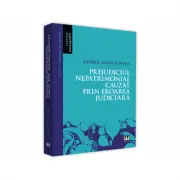 Prejudiciul nepatrimonial cauzat prin eroarea judiciara